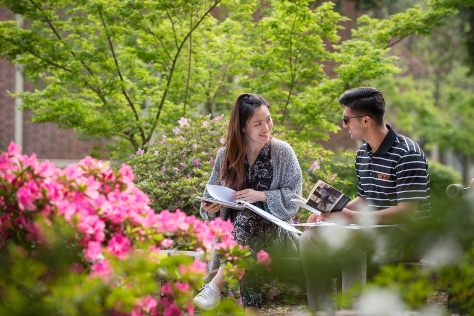 Students study in a garden on a spring day.