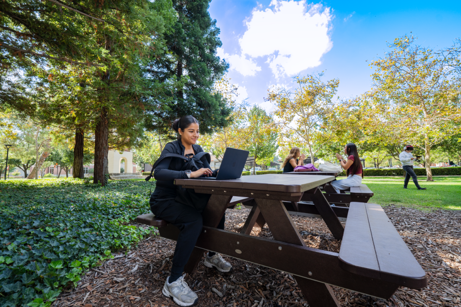 Student sits at a bench outside, working on a laptop. Other students walk and talk behind the bench.